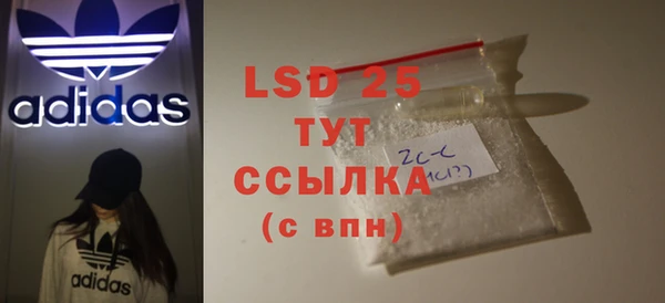 индика Зерноград