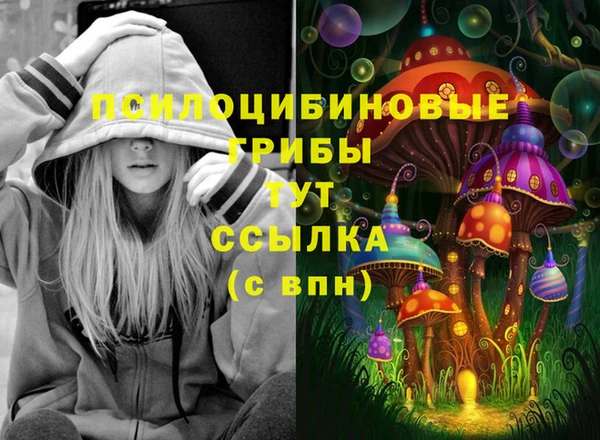 мяу мяу кристалл Иннополис