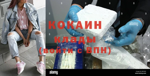 индика Зерноград